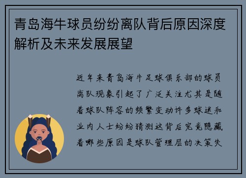 青岛海牛球员纷纷离队背后原因深度解析及未来发展展望