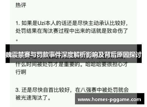 魏震禁赛与罚款事件深度解析影响及背后原因探讨