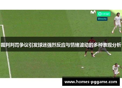 裁判判罚争议引发球迷强烈反应与情绪波动的多种表现分析