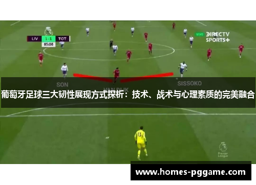 葡萄牙足球三大韧性展现方式探析：技术、战术与心理素质的完美融合