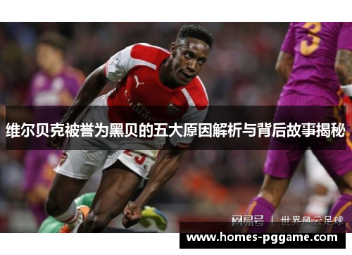 维尔贝克被誉为黑贝的五大原因解析与背后故事揭秘