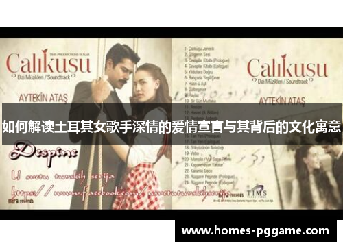 如何解读土耳其女歌手深情的爱情宣言与其背后的文化寓意