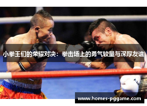 小拳王们的荣耀对决：拳击场上的勇气较量与深厚友谊
