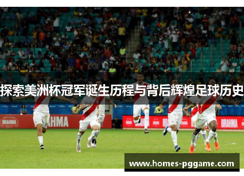 探索美洲杯冠军诞生历程与背后辉煌足球历史